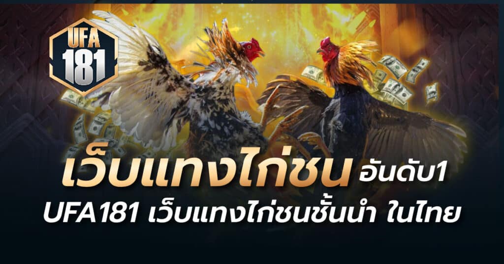 เว็บแทงไก่ชน อันดับหนึ่ง UFA181 เว็บแทงไก่ชนชั้นนำ ในไทย