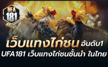 เว็บแทงไก่ชน อันดับหนึ่ง UFA181 เว็บแทงไก่ชนชั้นนำ ในไทย