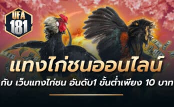 แทงไก่ชนออนไลน์ กับ เว็บแทงไก่ชน อันดับ1 ขั้นต่ำเพียง 10 บาท