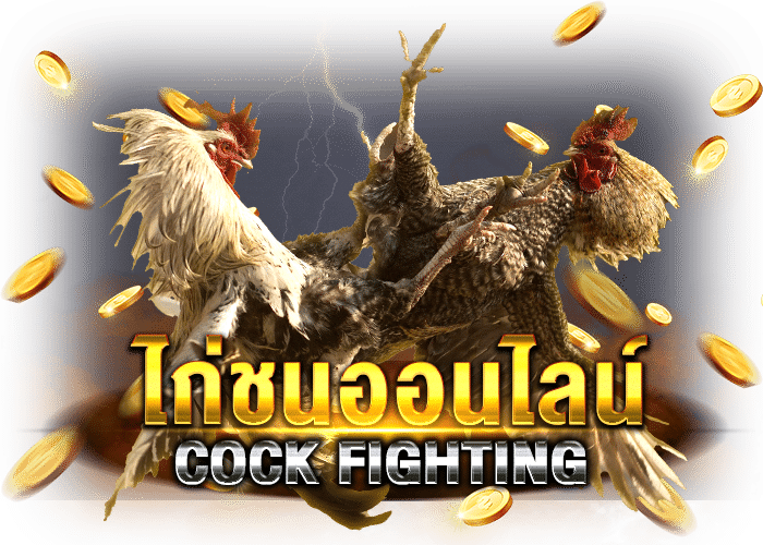 แทงไก่ชนออนไลน์ แทงไก่ชน ไก่ชนไทย เว็บไก่ชน